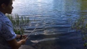 КАК ПОЙМАТЬ рыбу без удочки? ЛОВИМ МАЛЬКОВ 5 литровой мордушкой ?