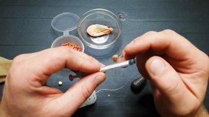 В ноябре карась клюет толка  на это,Насадка на карася леща и карпа по холодной воде