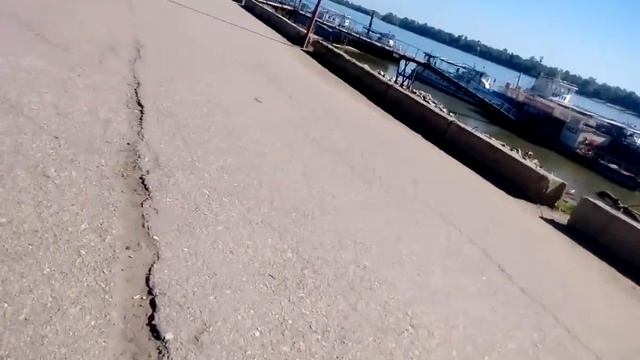 микро лошадь смотреть онлайн