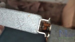 Клопы и тараканы живут вместе? МирДез