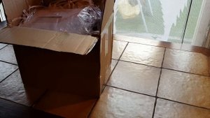 ПИОНЫ ИЗ ГОЛЛАНДИИ. PEONY SHOP. WARMERDAM PAEONIA.