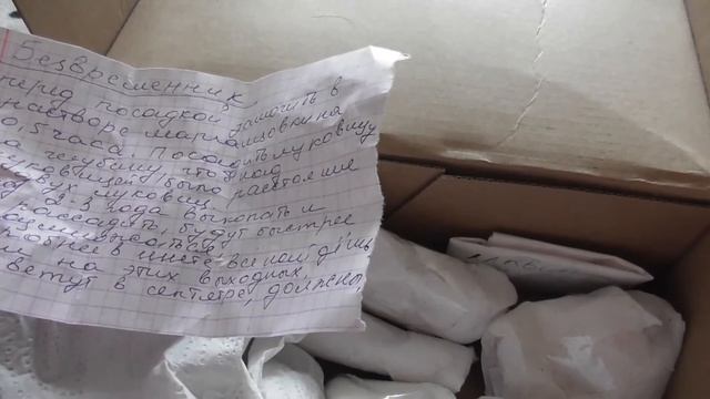 посылка от пописчицы/много интересного/на даче у кати смотреть онлайн