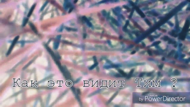 PETS VLOG  НАША PETS ПРОГУЛКА  Вредный Щенок БИГЛЯ атаковал Щенка Петербурской Орхидеи 