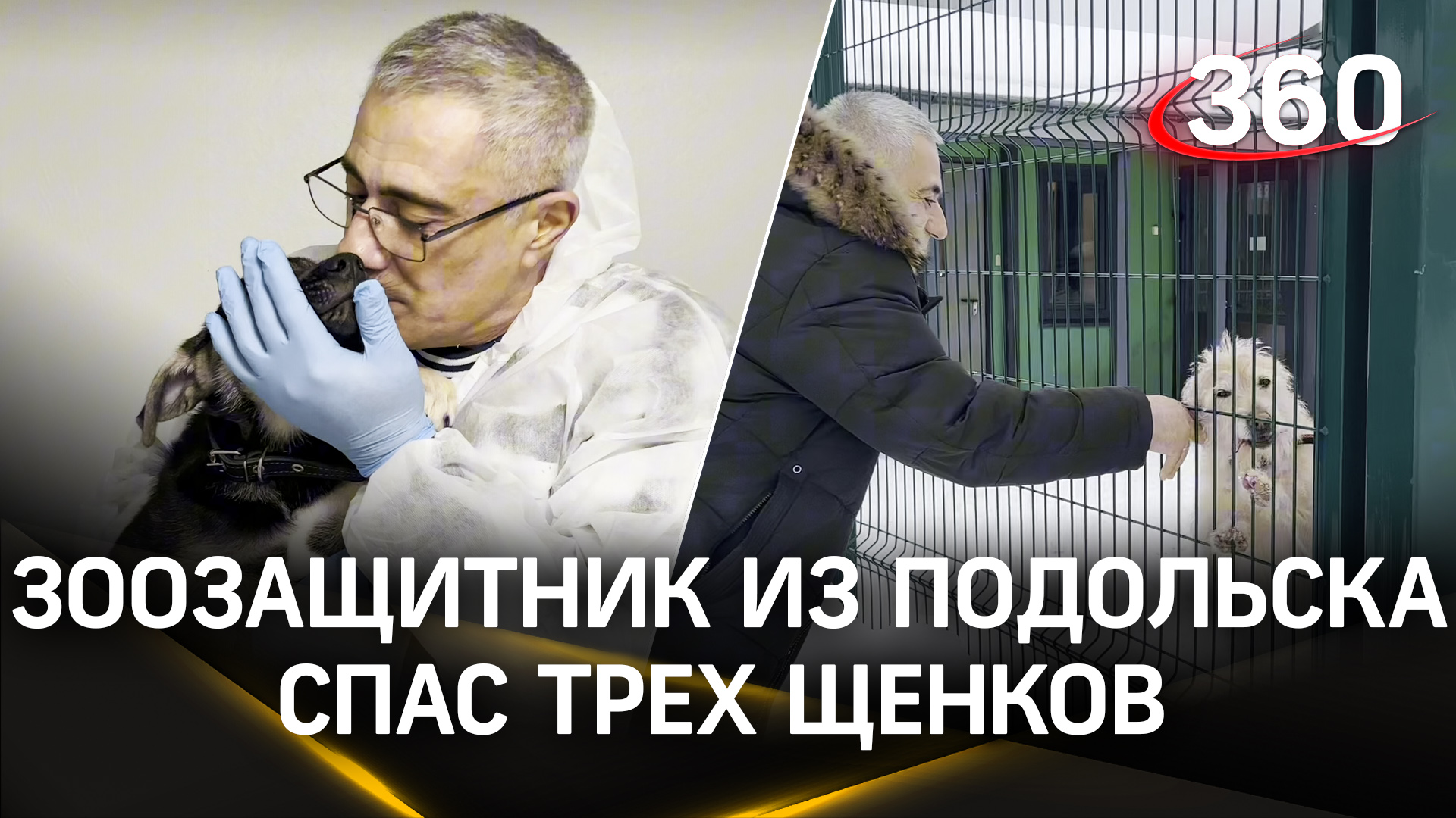 «Им, конечно, нужны люди»: зоозащитник из Подмосковья спас брошенных на морозе щенков