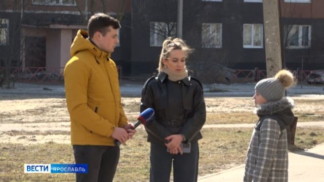 В Ярославской области собака искусала лицо 10-летнего мальчика
