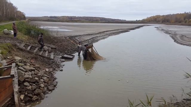 Как быстро ловить РЫБУ (КАРПОВ) - КИРИЛЛ ГЛОБАЛ смотреть онлайн