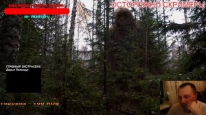 СБОРНИК СТРАШНЫХ ИСТОРИЙ №25 про ТАЙГУ ( ЖУТЬ, СТРАХ, МИСТИКА ) . Читает - Серёга Денисов