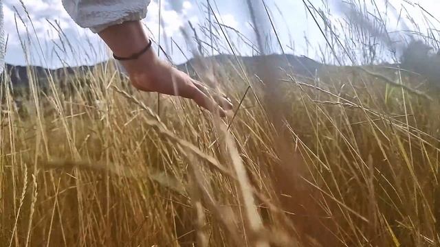 Давид Темелков - Мојата Македонија OFFICIAL VIDEO 2023