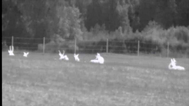 FORTUNA.ARMY - тепловизоры монокуляры, тепловизоры охотничьи, тестирование тепловизоров pulsar