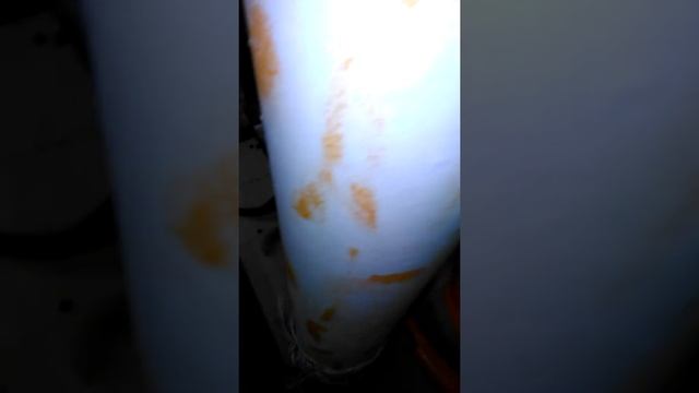 Контактный зоопарк в Перми.05,10,2017 смотреть онлайн