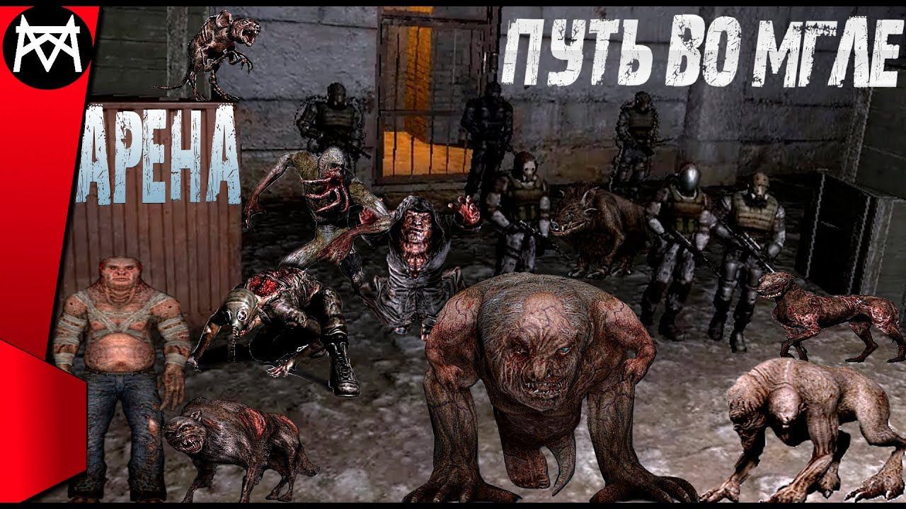 STALKER ПУТЬ ВО МГЛЕ. Самая интересная Арена ИЗ ТЕХ,ЧТО Я ВИДЕЛ в модах ☢