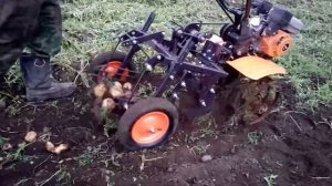 Первый блин не комом!!! Или копаем картофель мотоблоком.