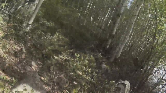 Съездил на дачу / Набрал грибов / Помог Серёге с ремонтом / И когда будет новый розыгрыш? смотреть онлайн