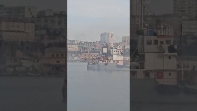 ВЛАДИВОСТОК.Бухты  японского моря.Остров Русский+Океанариум.Золотой мост.Морепродукты. 07-25.11.22г