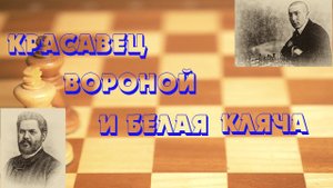 Урок 49 Хороший и плохой конь