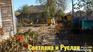 Куры сдохли все//домашние хлопоты