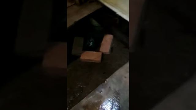 Как убрать запах из сливной трубы в бане смотреть онлайн