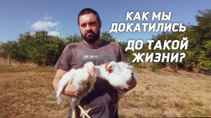 КУПИЛИ ДОМ НА ХУТОРЕ | КАК ЖИТЬ И ЗАРАБАТЫВАТЬ В ДЕРЕВНЕ