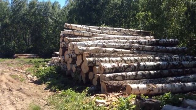 Дрова-Ура! Хорошие  дрова в Казани! От производителя