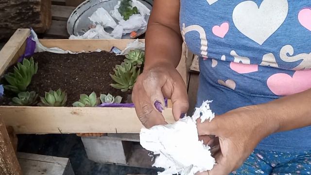 #top reto hacer un arreglo personalizado#Navideño(con#suculentas nuevas смотреть онлайн