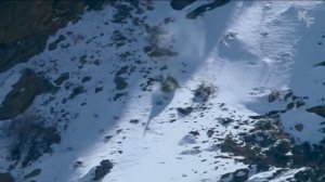 Внушающие трепет выходки: раскрытие секретов горных козлов. Почему Горные Козлы Не Падают.