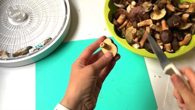 Как правильно сушить грибы, надо их мыть или нет...Рассказываю все подробности! смотреть онлайн