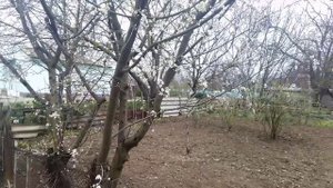 Михайловка Нижнегорский Крым 18 марта 2023.mp4