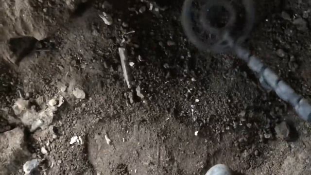 ЧТО КУПИЛ❓ЧТО НАШЁЛ ❓И ЧТО ВЫРОСЛО❓ смотреть онлайн