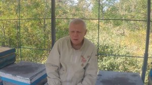 Почему матки не должны сеять в сентябре Пчеловодство