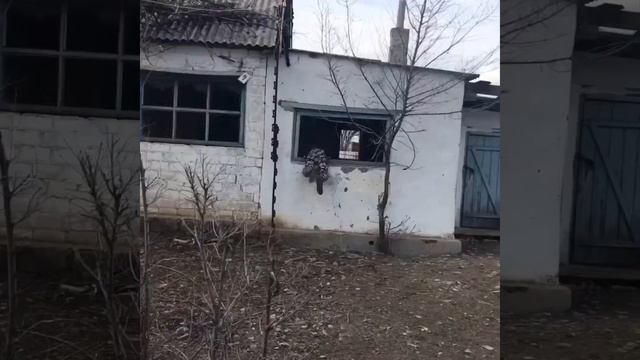 Чем заняться в деревне?😂💕/Ангелина смотреть онлайн