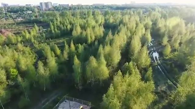 Гостинка или подселение, в чем разница?