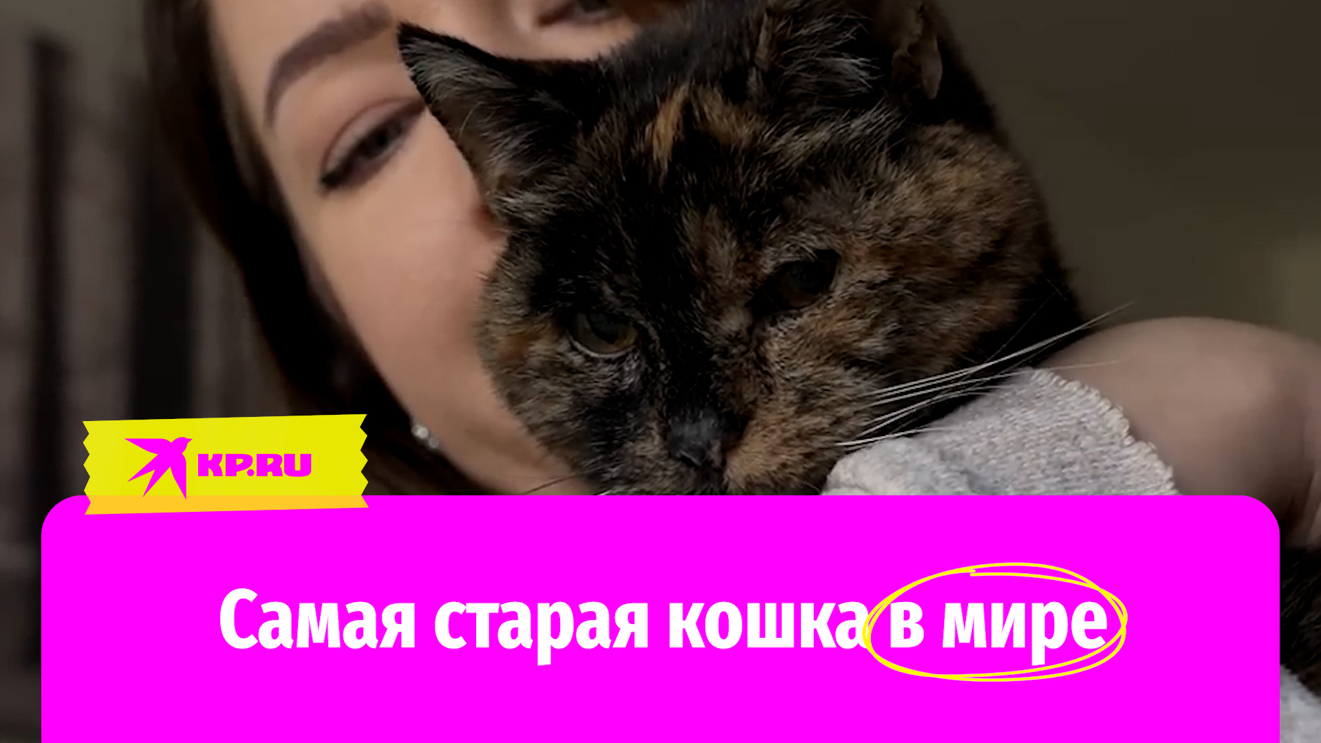 Самая старая кошка в мире прожила на земле почти 27 лет