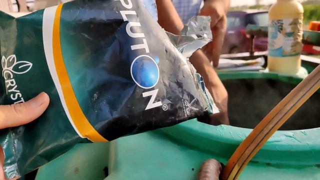 Fungicide and insecticide combination  neem oil spray  pluton fungicide  chelated zinc 12