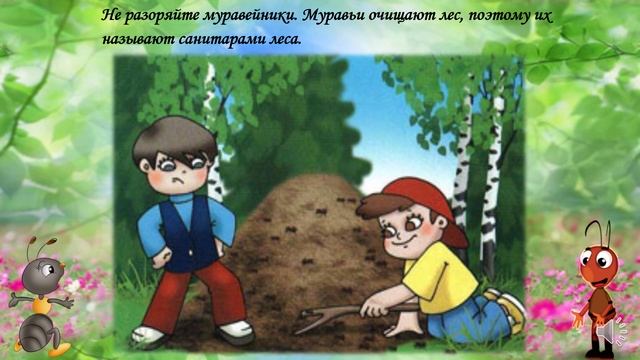 Видео - урок Тема Правила поведения в лесу смотреть онлайн
