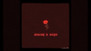 👑RAIKAHO - Молод и Глуп👑
