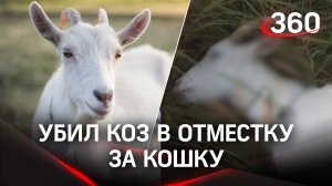 Семеро козлят по-демидковски: убил коз в отместку за кошку, которую загрызла собака