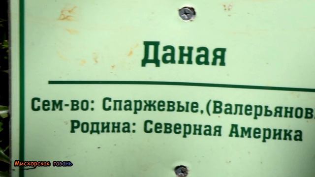 Гаспра санаторий Днепр налоговой инспекции России. Шале Харакс на реконструкции, обновленные корпуса