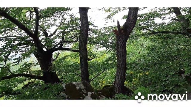 Моя жизнь такая какая есть.  Мой день рождения продолжается..