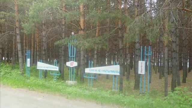 Мой город родной - Мамлютка.wmv смотреть онлайн