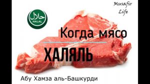 Когда мясо халяль? #халяль