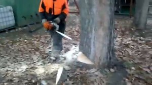 Stihl Ms 341  (favágás)