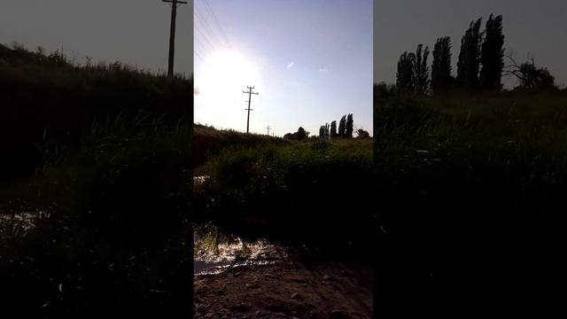 Дизель поезд ра-3 проезжает над рекой Восточный булганак. Дата съёмки 30 июня смотреть онлайн