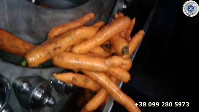Щеточная мойка для овощей, корнеплодов, огурцов, моркови, картофеля