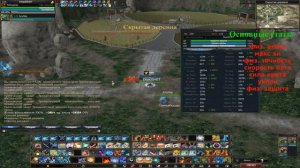 Rappelz руофф, пантера-сирена, гайд на Рейнджера, часть 1