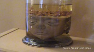 КУНСТКАМЕРА САНКТ ПЕТЕРБУРГ | KUNSTKAMERA SAINT PETERSBURG