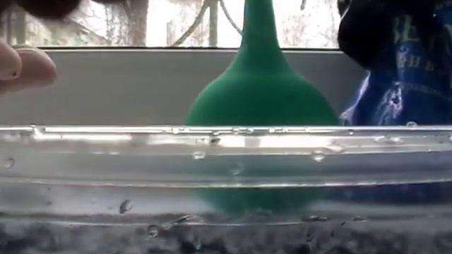 Выращивание сельдерея  на рассаду (листовой Сенеж)