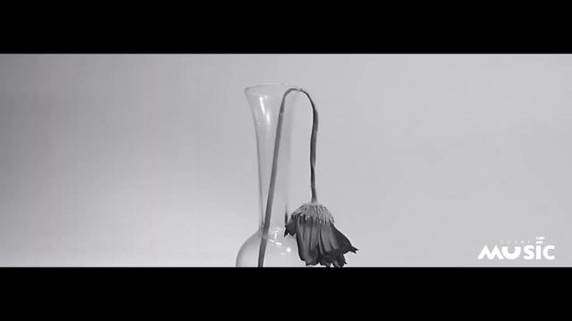 Евгений Жихаревич - Зачем ты отвергаешь милость (Песня семьи Кирнев /  