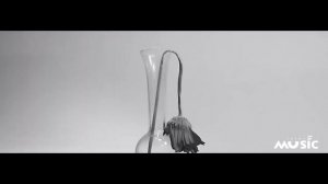 Евгений Жихаревич - Зачем ты отвергаешь милость (Песня семьи Кирнев /  "Разбитые тарелки" 2023