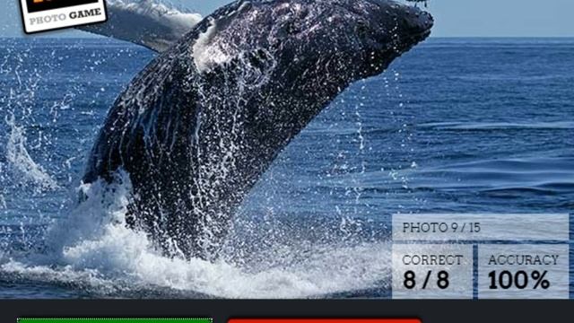 Фотошоп Или Нет? смотреть онлайн