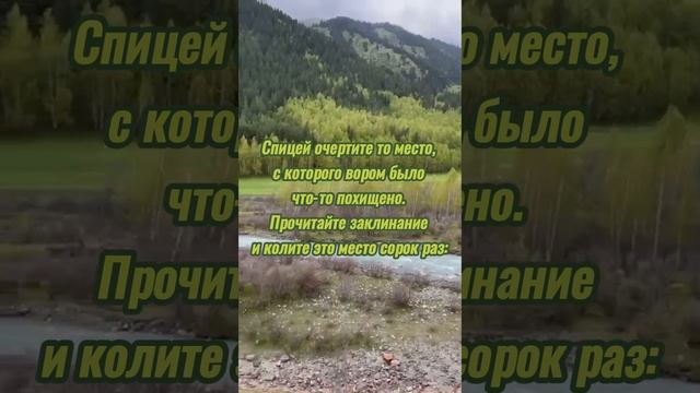 Заставить вора вернуть украденное. #shortsvideo #shortsyoutube #viralshorts #shorts #youtube #viral